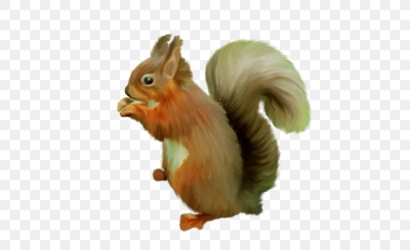 Tree Squirrel GIMP, PNG, 500x500px, Squirrel, Animal, Beak, Blog, Chicken Download Free