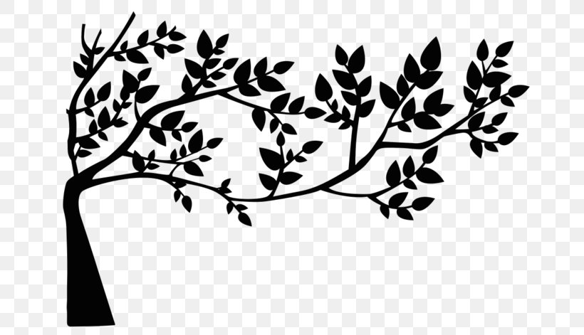 Oak Tree Silhouette, PNG, 699x471px, Leaf, Blackandwhite, Branch, Drawing, Oak Download Free