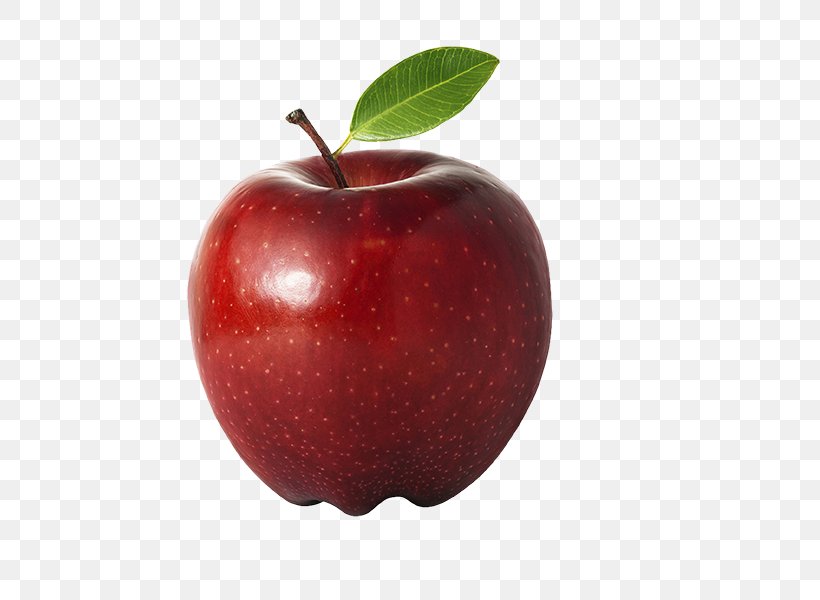 School Food Teacher Apple Fruit, PNG, 473x600px, School, Accessory Fruit, Apple, Apple A Day Keeps The Doctor Away, Food Download Free