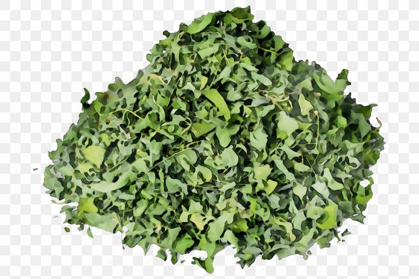 Spinach Herb, PNG, 1770x1180px, Spinach, Cuisine, Food, Grass, Herb Download Free