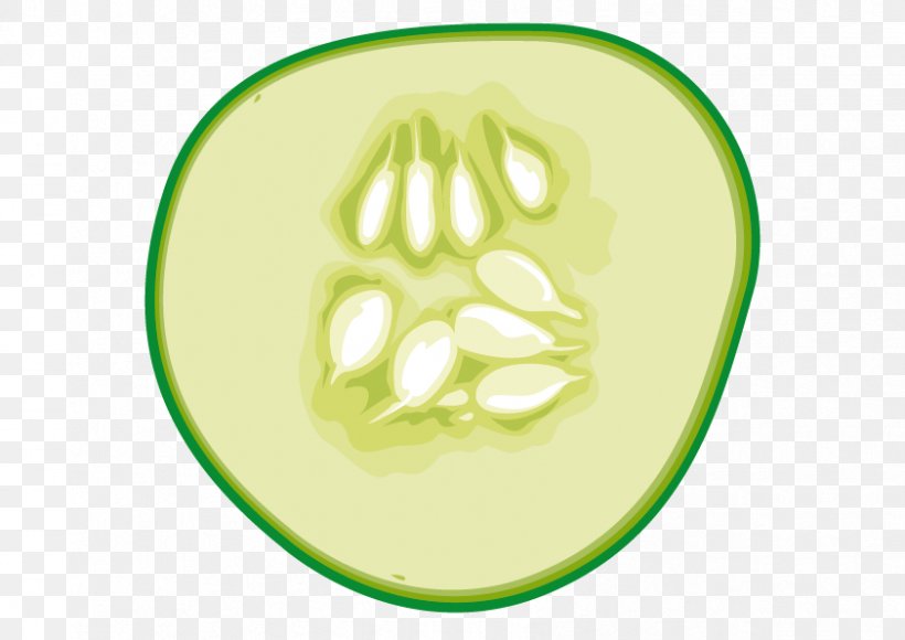 Cucumber Euclidean Vector Vegetable, PNG, 842x596px, Cucumber, Dish, Element, Food, Fruit Download Free