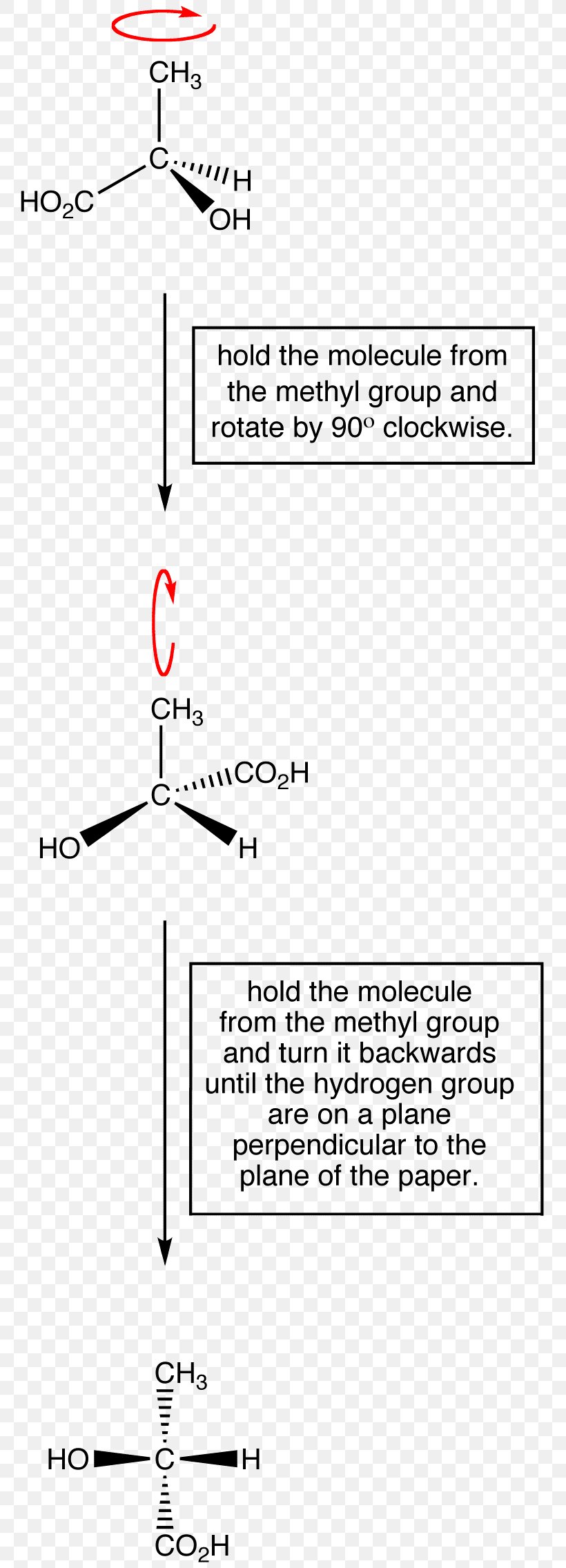 Fischer Projection Organic Chemistry Molecule Double Bond, PNG, 781x2271px, Fischer Projection, Area, Black And White, Chemical Formula, Chemistry Download Free