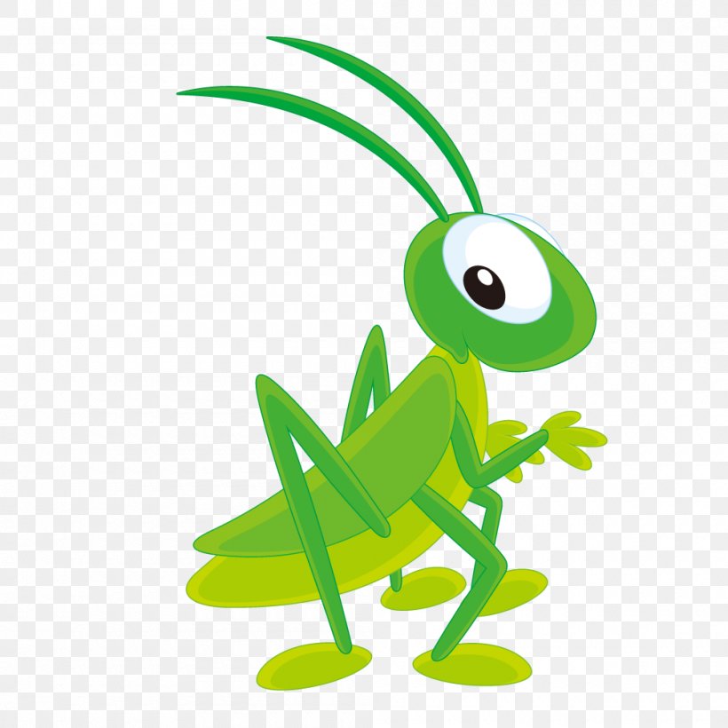 Insect Clip Art, PNG, 1000x1000px, Insect, Amphibian, Animal Figure, Artwork, Drawing Download Free