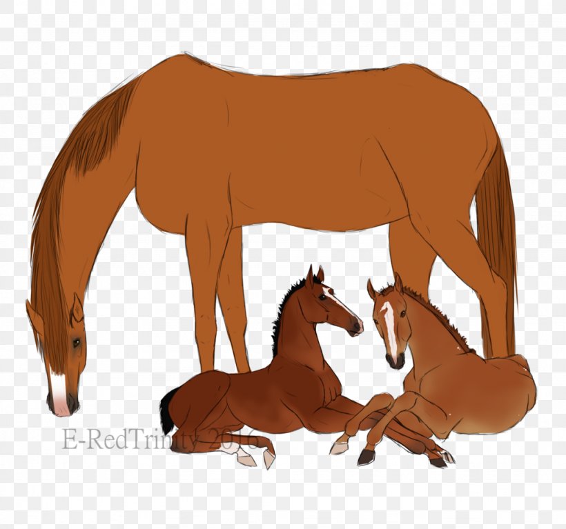 Mustang Foal Stallion Bridle Halter, PNG, 1024x959px, Mustang, Bridle, Cartoon, Colt, Fauna Download Free