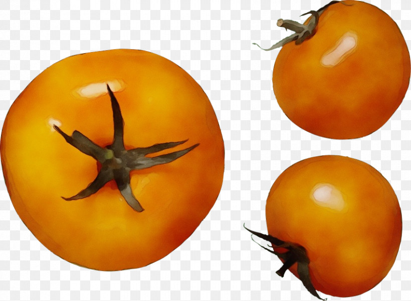 Tomato, PNG, 850x624px, Watercolor, Fruit, Genus, Paint, Persimmons Download Free