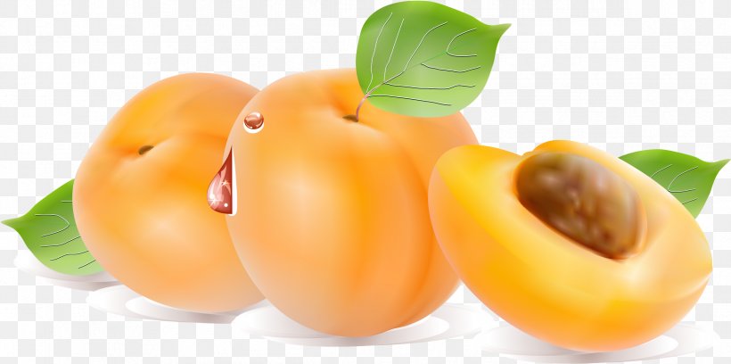 Apricot Fruit Peach Computer File, PNG, 2376x1183px, Apricot, Almond, Diet Food, Diospyros, Food Download Free