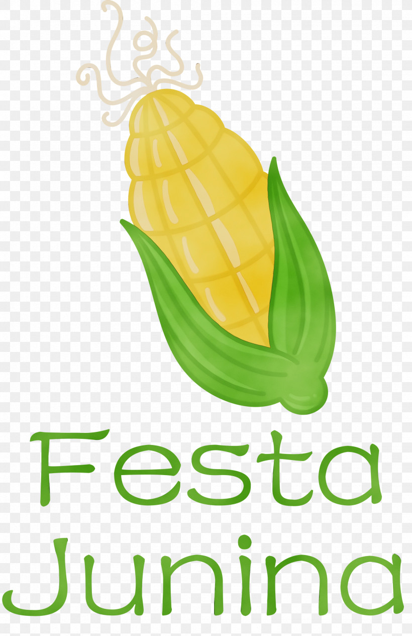 Leaf Banana Logo Commodity Meter, PNG, 1944x3000px, Festa Junina, Banana, Biology, Commodity, Fruit Download Free