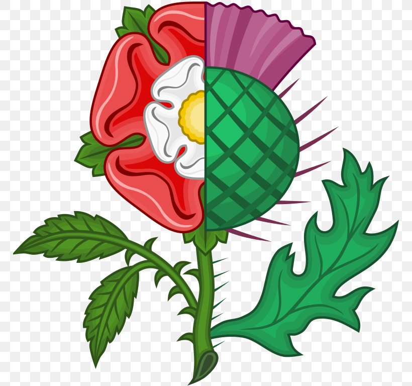 Thistle Scotland Rose The Thrissil And The Rois Union Of The Crowns, PNG, 768x768px, Thistle, Artwork, Creeping Thistle, Cut Flowers, European Rose Chafer Download Free