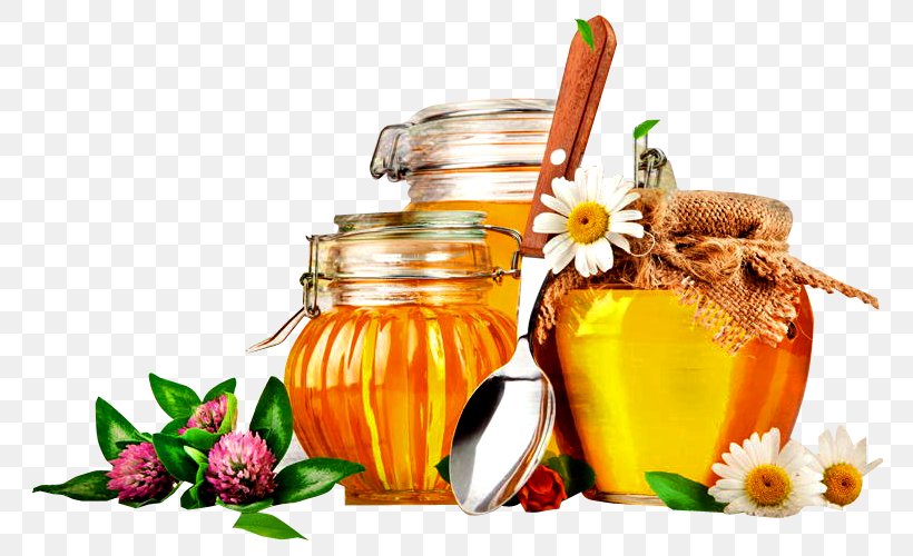 Bee Savior Of The Honey Feast Day Food Monofloral Honey, PNG, 767x500px, Bee, Apiary, Beekeeping, Buckwheat, Diet Download Free