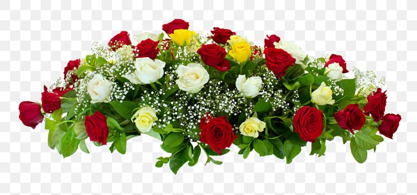 Garden Roses Floral Design Funeral Flower Condolences, PNG, 768x384px, Garden Roses, Annual Plant, Burial, Business, Coffin Download Free