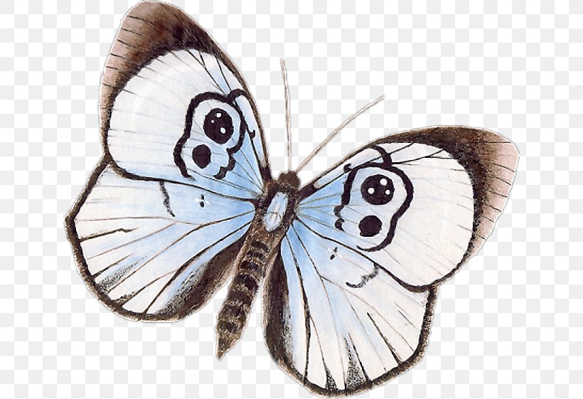 Brush-footed Butterflies Pieridae Gossamer-winged Butterflies Moth Butterfly, PNG, 642x561px, Brushfooted Butterflies, Arthropod, Brush Footed Butterfly, Butterflies And Moths, Butterfly Download Free