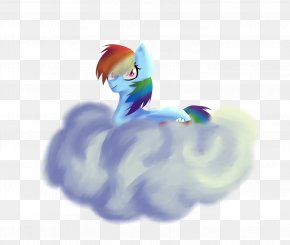 Cloud Rainbow - Desktop Wallpaper Feather Computer Close-up Wallpaper PNG