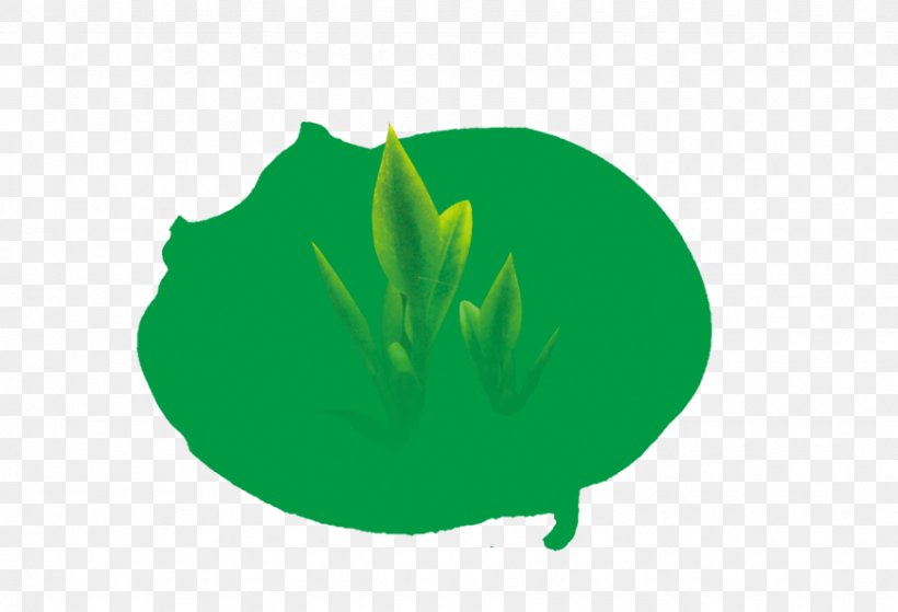 Green Tea Clip Art, PNG, 870x594px, Tea, Designer, Grass, Green, Green Tea Download Free