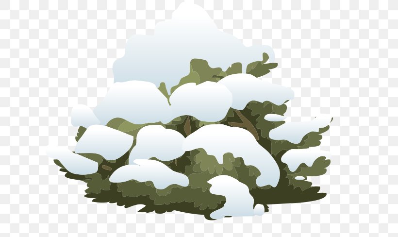 Shrub Snow Tree Clip Art, PNG, 640x488px, Shrub, Grass, Leaf, Plant, Snow Download Free