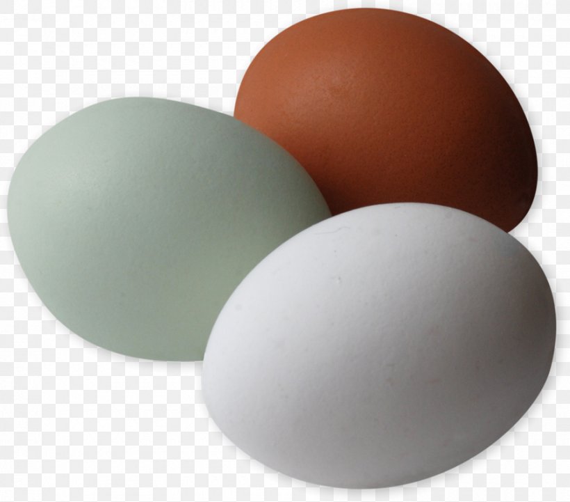 Eggshell Number Arabic Numerals Lilliput And Blefuscu, PNG, 900x792px, Egg, Arabic, Arabic Alphabet, Arabic Numerals, Eggshell Download Free