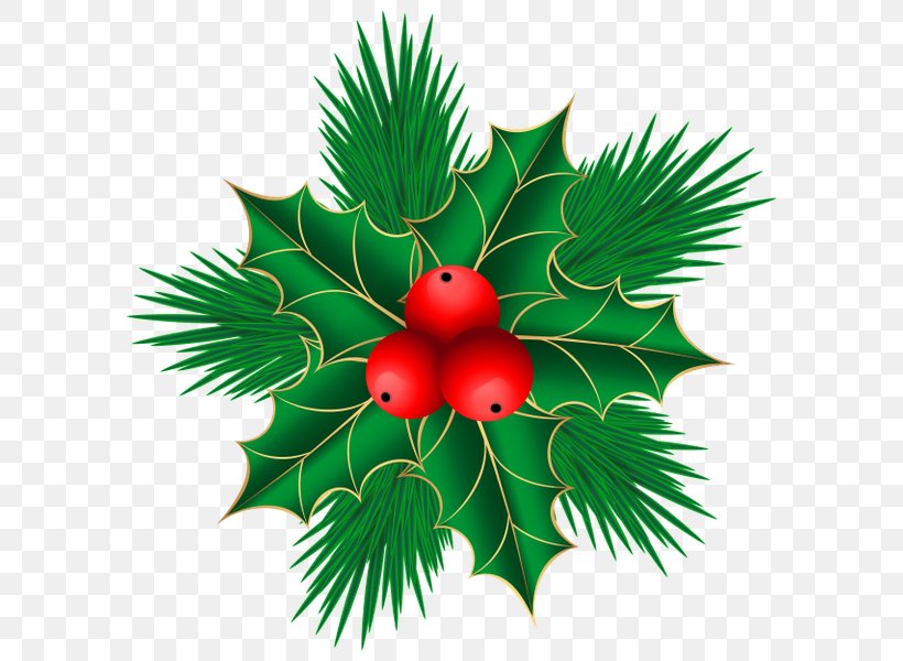 Mistletoe Phoradendron Tomentosum Christmas Clip Art, PNG, 600x600px, Mistletoe, Aquifoliaceae, Aquifoliales, Branch, Christmas Download Free