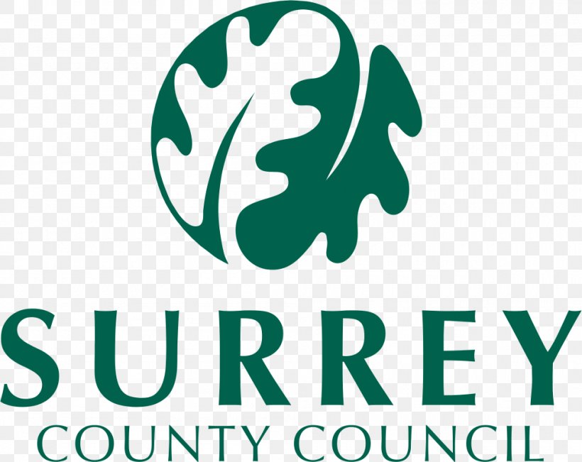 Banstead Surrey County Council East Sussex Career, PNG, 1000x794px, Banstead, Area, Brand, Career, County Download Free