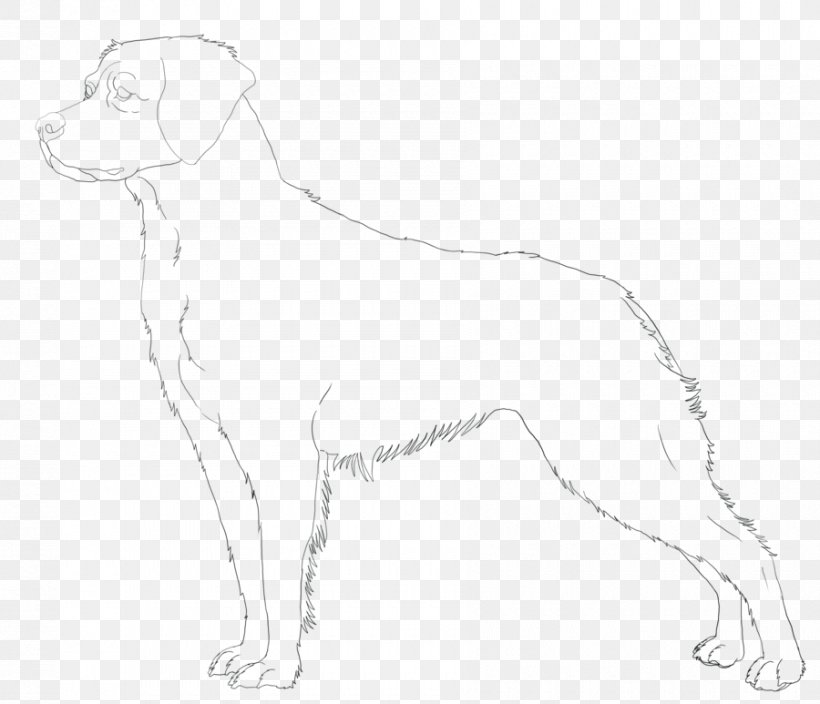 Dog Breed Retriever Companion Dog Brittany Dog Sporting Group, PNG, 900x773px, Dog Breed, Artwork, Black And White, Breed, Brittany Dog Download Free