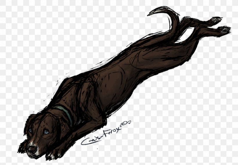 Dog Coyote Canis Ferox Drawing Mammal, PNG, 900x624px, Dog, Canis, Canis Ferox, Carnivoran, Character Download Free