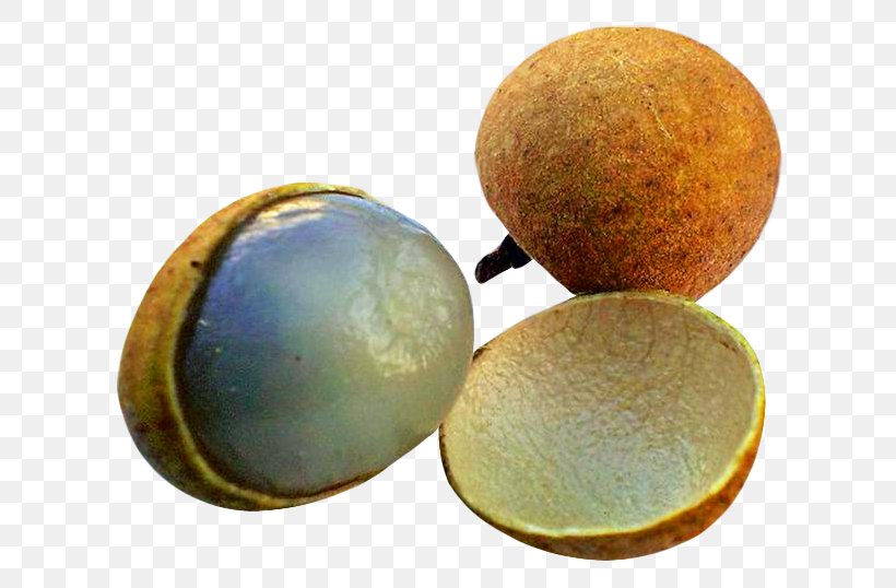 Fruit Longan, PNG, 647x538px, Fruit, Bread, Egg, Food, Longan Download Free