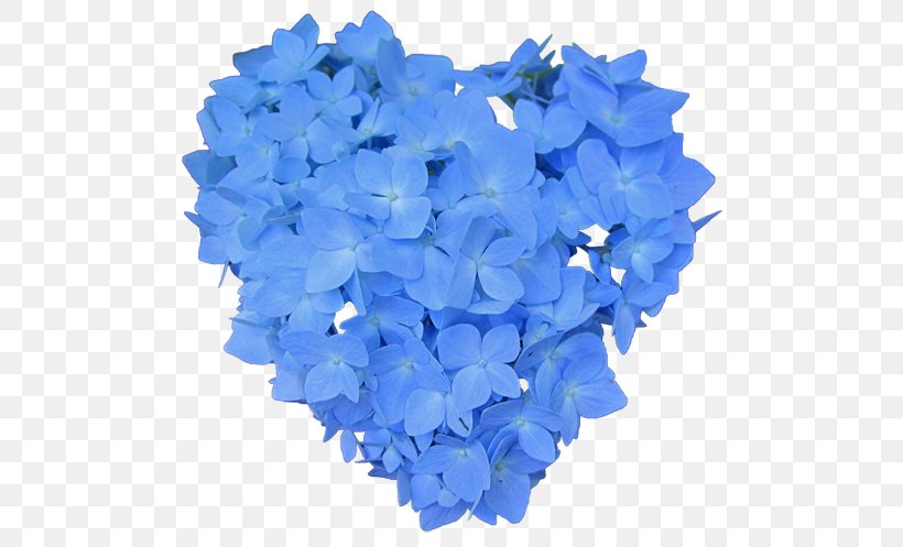 Hydrangeaceae Cut Flowers Petal, PNG, 512x497px, Hydrangea, Blue, Cobalt Blue, Cornales, Cut Flowers Download Free