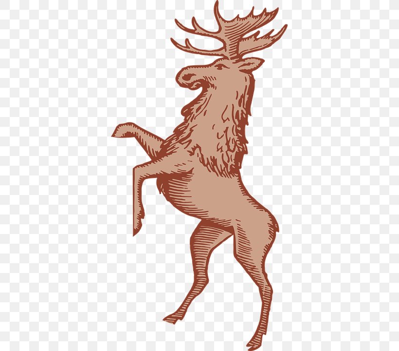 Moose Reindeer Elk Clip Art, PNG, 363x720px, Moose, Antler, Art, Cattle Like Mammal, Deer Download Free