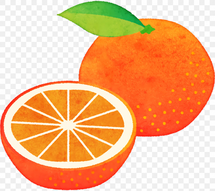 Orange, PNG, 1600x1424px, Welty Mandarins, Blood Orange, Citric Acid, Citrus, Grapefruit Download Free