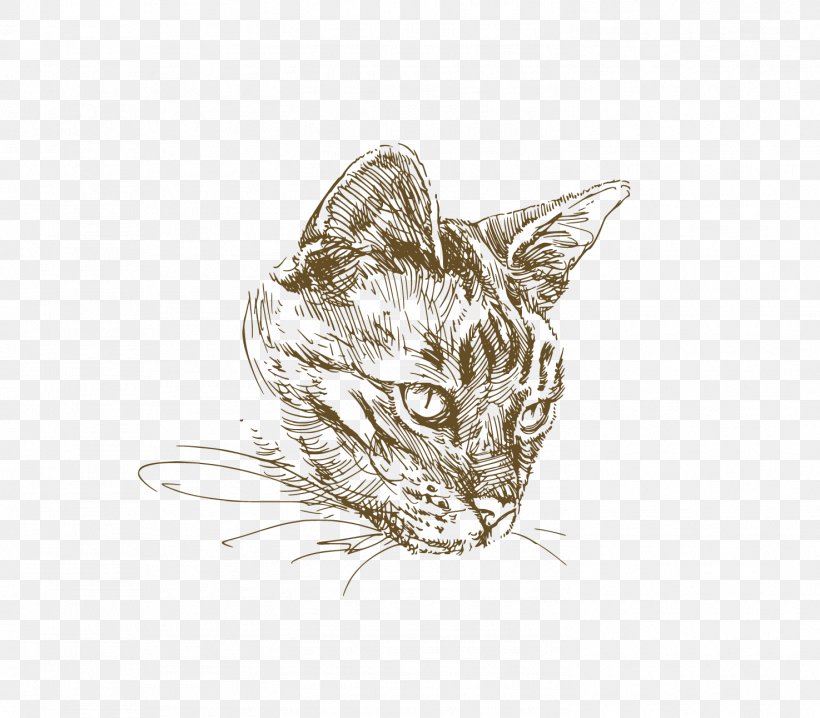 Cat Kitten Drawing Illustration, PNG, 1475x1292px, Cat, Animal, Art, Carnivoran, Cat Like Mammal Download Free