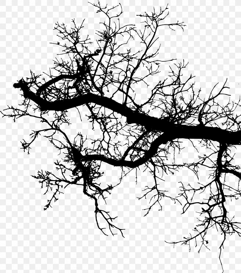 Twig Branch Silhouette Drawing, PNG, 2425x2756px, Twig, Black And White, Branch, Drawing, Leaf Download Free