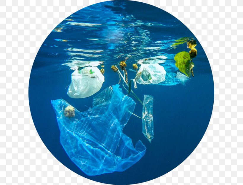 World Ocean Plastic Pollution Waste Marine Debris, PNG, 627x627px, World Ocean, Aqua, Earth, Ecosystem, Fish Download Free