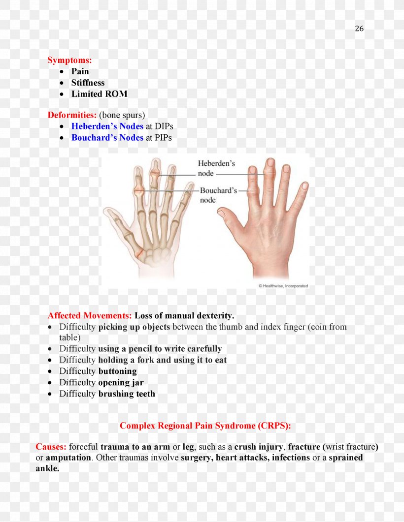 Bouchard's Nodes Heberden's Node Occupational Therapy Osteoarthritis Physical Therapy, PNG, 2550x3300px, Occupational Therapy, Acupuncture, Brand, Cerebral Palsy, Disease Download Free