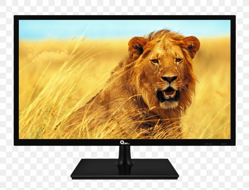 Computer Monitors VGA Connector LED-backlit LCD LED Display Video Electronics Standards Association, PNG, 1030x788px, Computer Monitors, Digital Visual Interface, Display Device, Display Resolution, Flat Display Mounting Interface Download Free