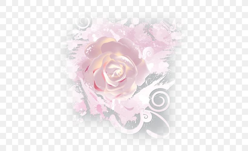 Garden Roses Cabbage Rose Floral Design Cut Flowers, PNG, 500x500px, Garden Roses, Cabbage Rose, Cut Flowers, Floral Design, Floristry Download Free