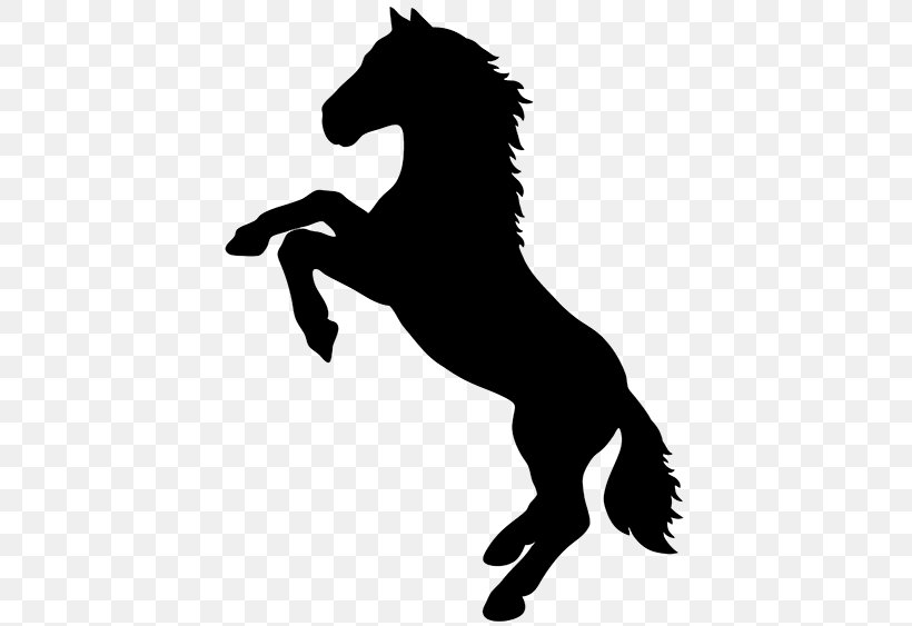 Horse Stallion Rearing Silhouette, PNG, 450x563px, Horse, Animal, Black, Black And White, Colt Download Free