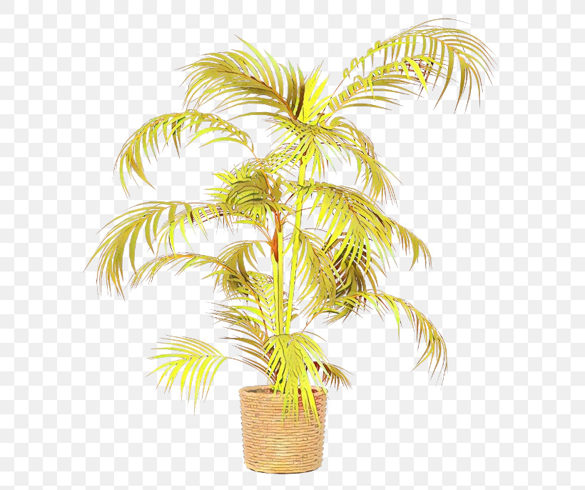 Palm Tree, PNG, 600x686px, Tree, Arecales, Coconut, Flowerpot, Grass Download Free