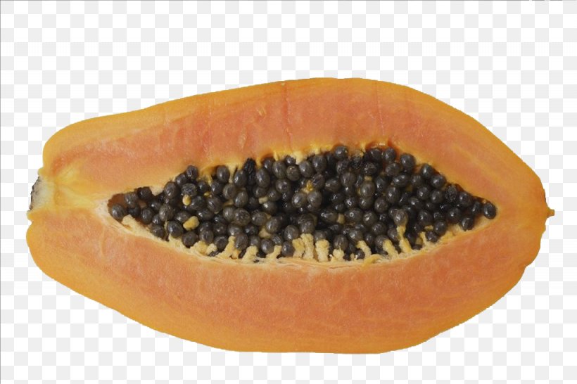 Papaya Fruit Icon, PNG, 1025x683px, Papaya, Auglis, Cashew, Food, Fruit Download Free