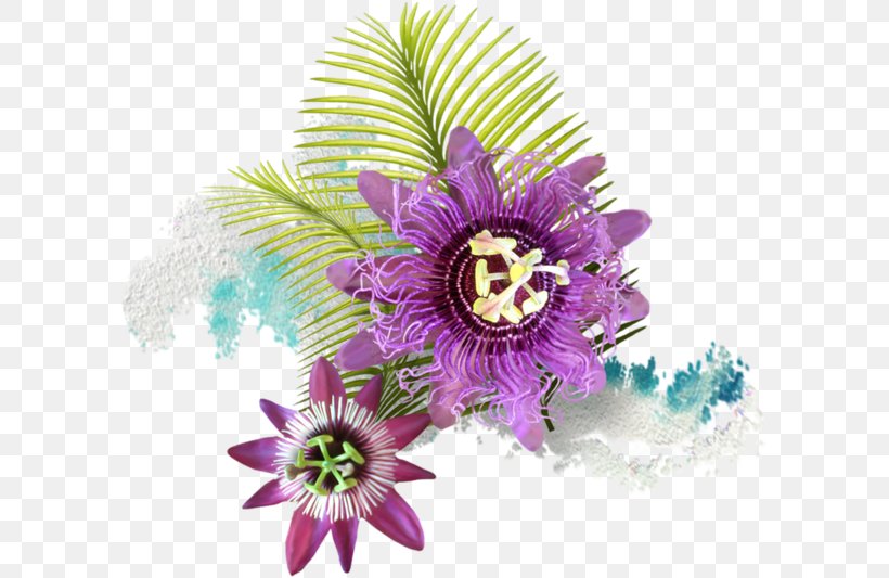 Passion Fruit Cut Flowers Petal, PNG, 600x533px, Passion Fruit, Cut Flowers, Flower, Flowering Plant, Passion Download Free