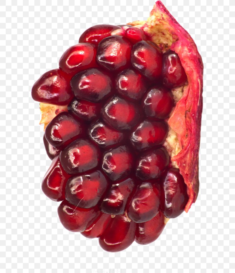 Pomegranate Berry Fruit Clip Art, PNG, 604x955px, Pomegranate, Auglis, Berry, Cranberry, Food Download Free