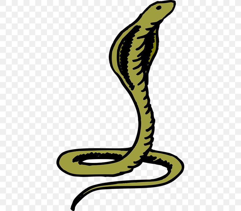 Snake Cobra Clip Art, PNG, 435x720px, Snake, Artwork, Beak, Cobra, Drawing Download Free