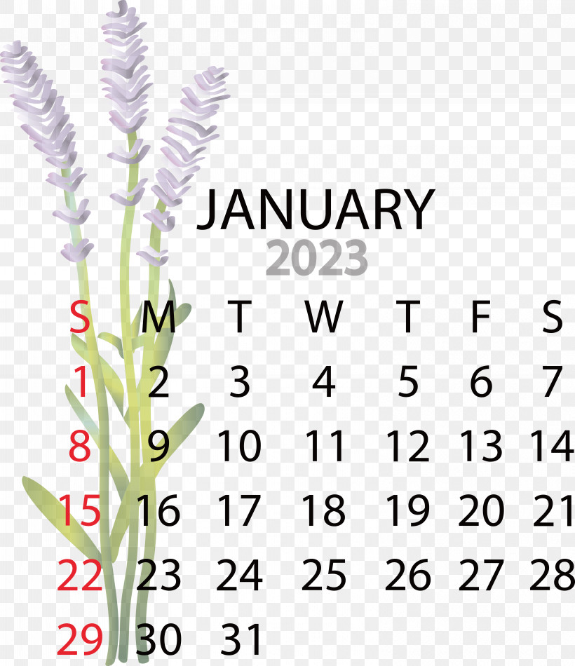 Calendar Advent Calendar Month Bengali Calendar Calendar, PNG, 6211x7202px, Calendar, Academic Term, Advent Calendar, August, Bengali Calendar Download Free