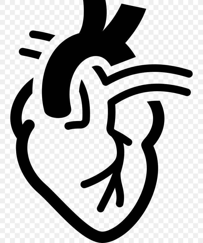 Cardiology Electrocardiography Medicine Heart Hemodynamics, PNG, 738x980px, Cardiology, Artwork, Black And White, Cardiovascular Disease, Electrocardiography Download Free