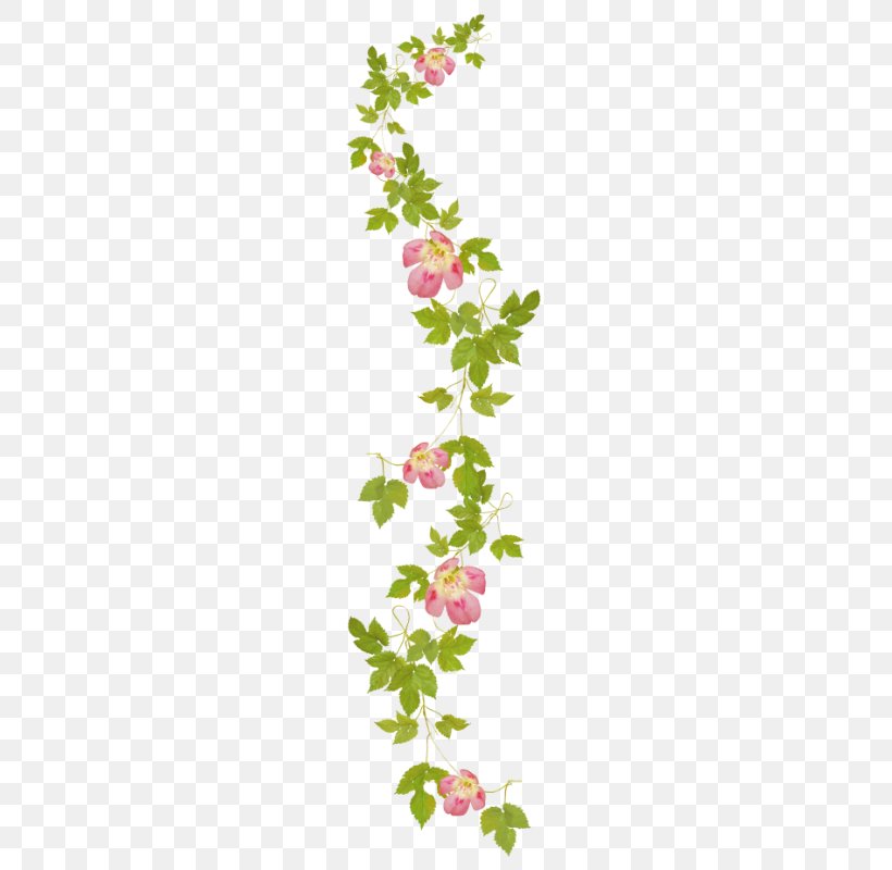 Floral Design Flower Drawing Clip Art, PNG, 324x800px, Floral Design, Branch, Cut Flowers, Drawing, Flora Download Free