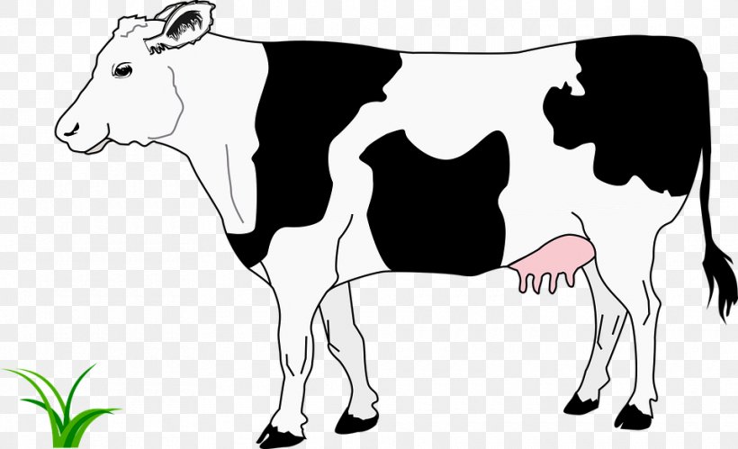 Beef Cattle Highland Cattle White Park Cattle Calf Clip Art, PNG, 960x585px, Beef Cattle, Black And White, Calf, Cartoon, Cattle Download Free