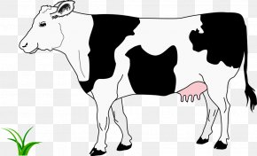 Cow Clipart - Beef Cattle Highland Cattle White Park Cattle Calf Clip Art PNG