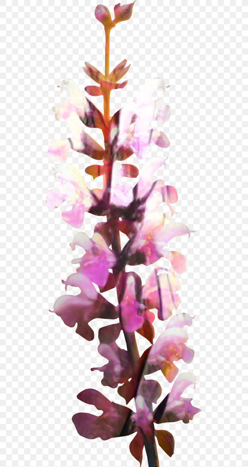 Floral Spring Flowers, PNG, 517x1542px, Orchids, Arna, Blossom, Branch, Cattleya Orchids Download Free