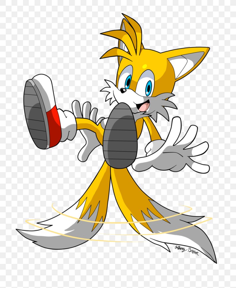 Tails Sonic Riders Sonic Chaos Sonic Adventure Ariciul Sonic, PNG, 795x1004px, Tails, Archie Comics, Ariciul Sonic, Art, Carnivoran Download Free