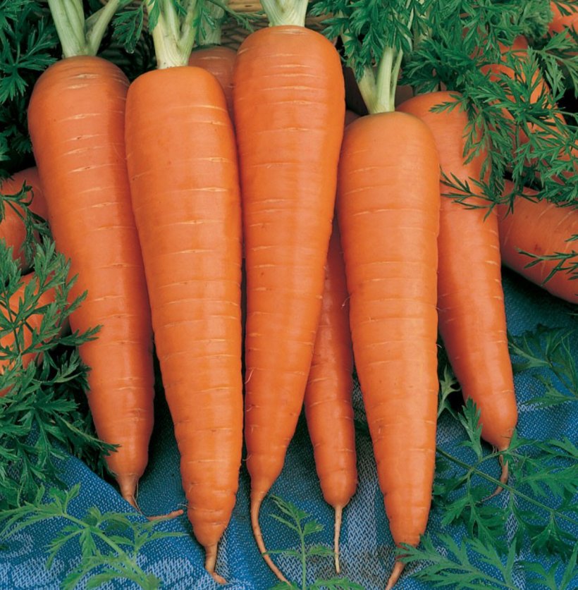 Carrot Danvers Organic Food Seed Vegetable, PNG, 1178x1203px, Carrot, Baby Carrot, Carrot Juice, Danvers, Daucus Download Free