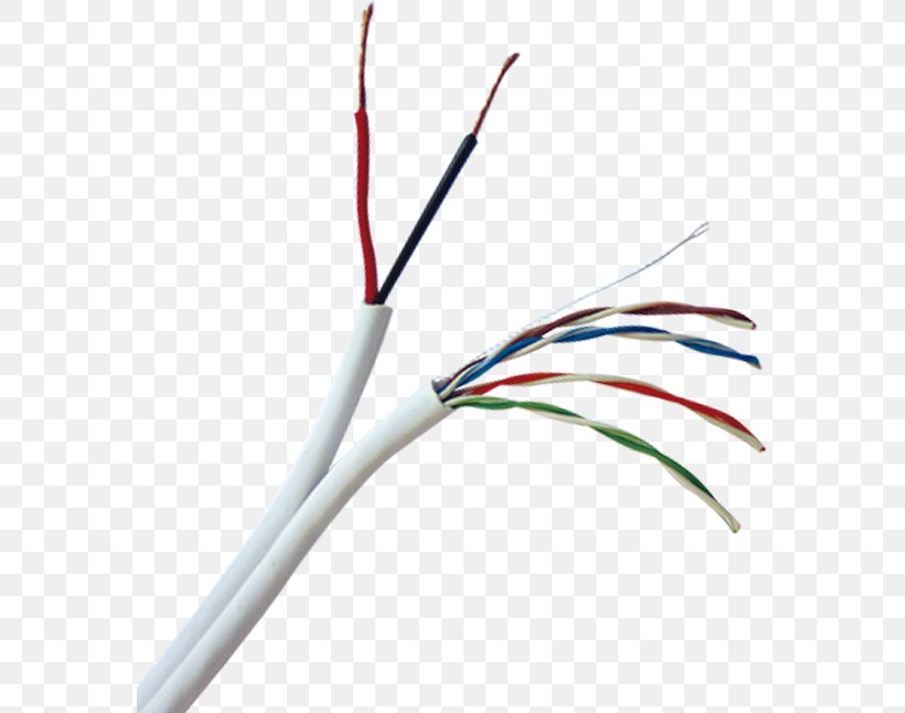 Category 5 Cable Category 6 Cable Twisted Pair Electrical Cable American Wire Gauge, PNG, 571x646px, Category 5 Cable, American Wire Gauge, Balun, Cable, Category 6 Cable Download Free