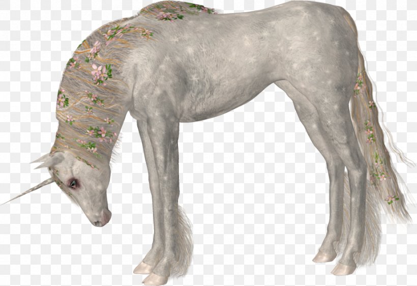 Horse Unicorn, PNG, 923x633px, Horse, Being, Carnivoran, Dog, Dog Breed Download Free