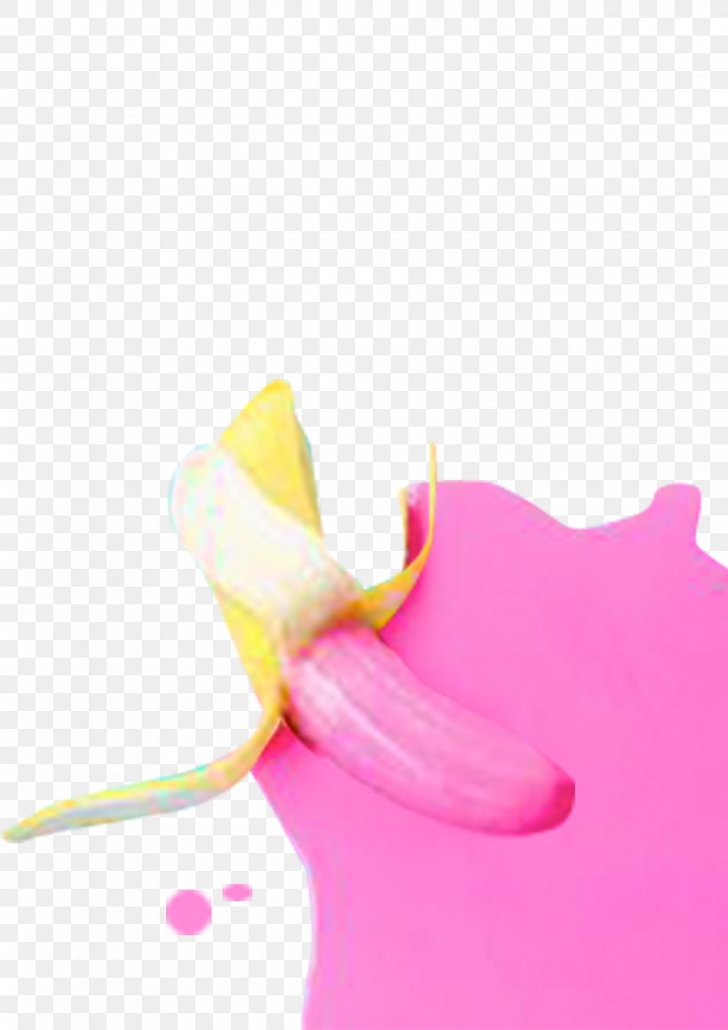 Petal Close-up, PNG, 2480x3508px, Petal, Closeup, Flower, Magenta, Pink Download Free